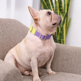 Dog Collars Pet Collar Fashion Hit Colour Polyester-Cotton Webbing Traction Neck Adjustable Matching Training Supplies