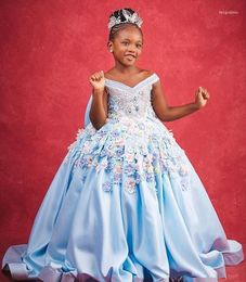 Girl Dresses Sky Blue Flower For Little Kids Ball Gown Bow Knot 3D Floral Appliques Beaded V Neck Pageant Dress Party