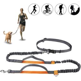 Dog Collars Bungees For 110Ibs Adjustable Waist Belt Reflective Stitching Leash Running Walking Hiking