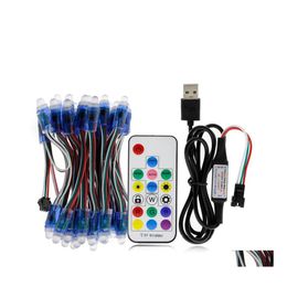 Led Modules Rgb Mode Ip68 Waterproof Dc5V Fl Colour Pixel String Point Lights 50Pixels/Piece With 17Key Controller Drop Delivery Ligh Dhpk2