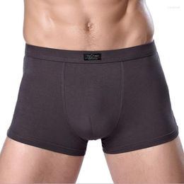Underpants Brand Clothing Mens Underwear Boxer Bamboo Fibre Casual Male Men's Short Man Solid Colour 1 Piece