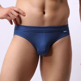 Underpants 2023 Brand BRAVE PERSON Modal Underwear Men's Gay Briefs Comfortable Breathable For Man Solid