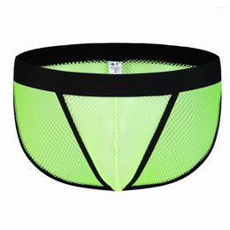 Underpants Gay Underwear Men Briefs Penis Pouch See Through Mens Panties Lingerie Mesh Sissy For