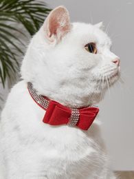 Dog Apparel Collars Set 1 Piece Rhinestone Collar Bling Pet With Bow And 2 Pieces Leashes For Cat Puppy