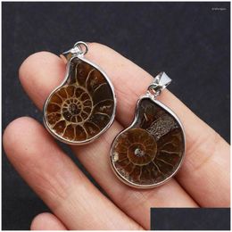 Charms Natural Stone Pendants Ammonite Seashell Snail Shaped For Jewelry Making Diy Necklaces Earrings Conch Animal Accessories Drop Dhpen