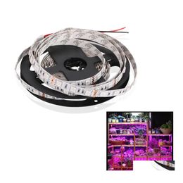 Led Strips 5050 Smd Grow Flexible Strip Tape Light 41 51 Aquarium Greenhouse Hydroponic Plant Growing Lamp 60Led/M Drop Delivery Lig Dh8Dv