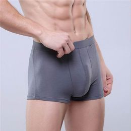 Underpants Men's Male Boxer Underwear Shorts 6 Modal Pure Colour Optional