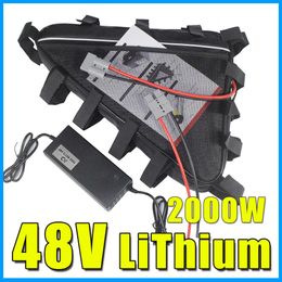 48V Triangle Bag Battery Pack 48V 1000W 2000W 3000W BMS 5A Charger