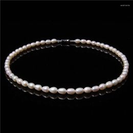 Chains Natural Pearl Necklaces White Freshwater Genuine Pearls Beaded Chockers Elegant Collar Wedding Chain Jewellery Women Gift