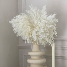 Decorative Flowers Dekoration Dried Plants Pampas Grass Flower Beautiful Reed Christmas Home Office Wedding Decoration Phragmites