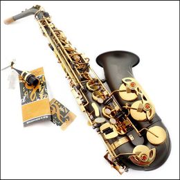 Quality SAS-R54 Saxophone E-Flat Black Nickel Sax Alto Mouthpiece Golden key Ligature Reed Neck Musical Instrument Accessories