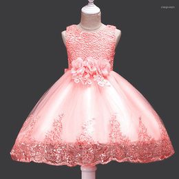 Girl Dresses Summer Flower Dress Girls Skirt Children's Wedding Evening Lace Tutu