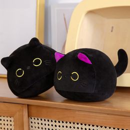 9/15/25CM Small Cuddly Black Cat Plush Doll Cartoon Stuffed Round Ball Cats Plushie Girl's Bag Keychain Pendant Toys LA516