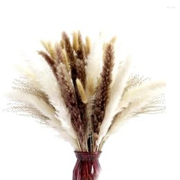 Decorative Flowers Natural Dried Pampas Grass 65Pcs Decor Pompous Plants For Wedding Kitchen Yard Home