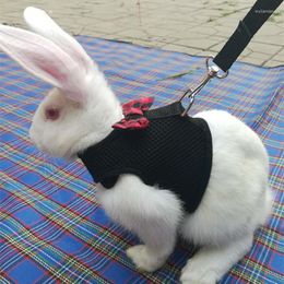 Dog Collars Cute Leash Set With Bow Harness Vest Harnesses Leashes For Chinchilla Hamster Bear Outdoor Walking Pets Accessories