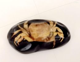 Keychains 12 Pcs Real Crab Insect Big Size Fashion Black Colour Keychain