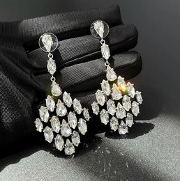 Fashion Crystal Tassel hänge dingla långa örhängen för kvinnors berömda designermärke