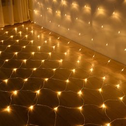 Led Net Lights Strings 110V 220V 24V 30V Wedding Decoration Christmas Fairy String Light Holiday Festival Multi Outdoor Garden Lamp usalight