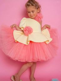 Girl Dresses Puffy Pink Yellow Flower Tiered Tulle Girls Princess Dress Wedding Party First Communion Gown Baby