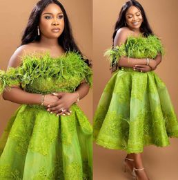 2023 Arabic Aso Ebi Green A-line Prom Dresses Feather Beaded Crystals Evening Formal Party Second Reception Birthday Engagement Gowns Dress ZJ704