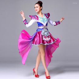 Stage Wear Long Sleeve Chinese Yangko Dance Costume For Women Year Performance Clothing Vintage Dress Festival Celebration