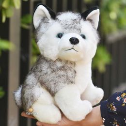 10-20cm Cute Simulation Stuffed Plush Husky Dolls Animals Kawaii Puppy Dog Kids Baby Toys