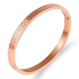 Bangle Fashion Design Charm & Bracelet Titanium Rose Armband For Women Pulseiras Statement Jewelry Couple Wedding Gift