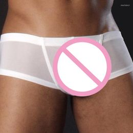 Underpants Super Thin Men Breathable Boxer Shorts Summer Cool Sexy Transparent Underwear Boxers Trunk Cueca Masculina