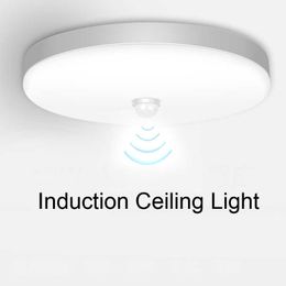 Sensor Ceiling Corridor Led Human body sensing Lights Chandelier Night Light For Home Stairs Garage Lamp 0209