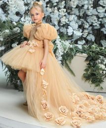 Girl Dresses Champagne Tulle Flower For Wedding Floral Litter Kids Toddler High Low Pageant Gowns First Communion Dress