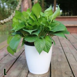 Garden Supplies Other Lazy Flower Pot Flowerpot Imitation Porcelain Series Plastic Self Watering Transparent Office Plants Decor