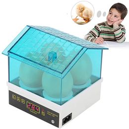 Small Animal Supplies 4pcs Egg Inccubator Hatchery Mini Digital Temperature Brooder Farm Quail Hatcher Incubator Equipment Children Gift 230211