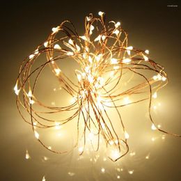 Strings 2M 20LED Copper Wire String Light USB Warm White Flexible Twistable Portable For Home Party Festival Bar DIY Decor