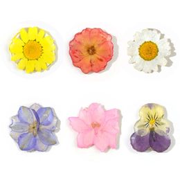 Charms JF029 6 Style Handmade Epoxy Resin Natural Real Dried Flower Pendant Earring Chain Necklaces For Jewellery Craft Accessories