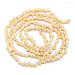 Chains Shell Beads Natural Freshwater Conch MOP Fit Bracelets Necklaces Jewellery DIY Craft For Female Gift 90cm 300pcs