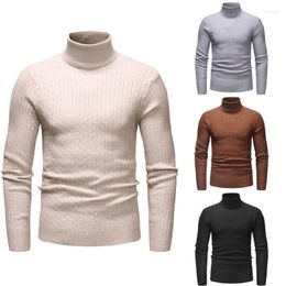 Men's Hoodies Winter Autumn Men Slim Fit Warm Knit Pullover Tops Man Casual High Neck Jumper Top Long Sleeve Solid Turtleneck Knitwear