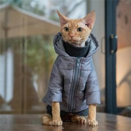 Cat Costumes Hairless Clothes Devon Jacket Cotton Suit Long Sleeve Hooded Coat Sphynx Kitten