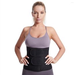 Waist Support Women Back Slimmer Weight Loss Belly Wrap Sauna Belt Body Shaper Home Gym Fitness Trainer Neoprene Posture Improve