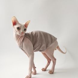 Cat Costumes WMXZ Sphinx Hairless Kitty Jumpsuit Outfit Coat Pet Dog Clothes Costume Cotton Spring Summer Camisole Soft Dress Cute
