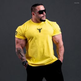 Men's T Shirts 2023 Men Short Sleeve Tight Shirt Casual Cotton Streetwear Gyms Fitness T-shirts Summer Homme Workout Tops Tees