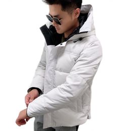Новый стиль на открытом воздухе зимний мужчина отдых Jassen Chaquetas Parka Белая утка верхняя одежда