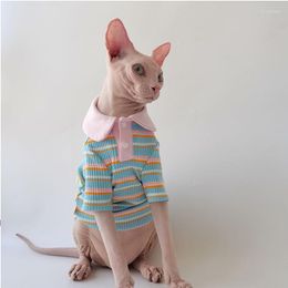 Cat Costumes WMXZ Sphinx Hairless Clothes Autumn Winter Doll Collar Cotton Bottom Shirt Cute Warm Hoodies Sweater Dog Pet Kitty Jumpsuit