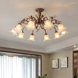 Chandeliers Nordic Bedroom Restaurant Glass Rural Living Room Retro Pendant Lamp Atmosphere Internet Red Resin Ceiling Light