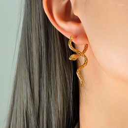 Dangle Earrings Snake Serpent Stainless Steel Statement For Women Animal Cute Jewellery Elegant In