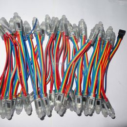 Strings IP68 DC5V 12mm WS2801 Pixel Module Full Color;50pcs A String;with Color Wire Epoxy Resin Filled