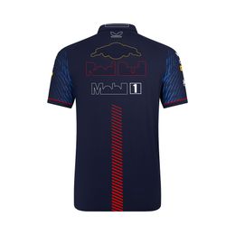 2023 Summer New F1 Racing T-shirt Formula 1 World Champion Team Official Website Same short-sleeved T-shirt polo shirt Custom2617