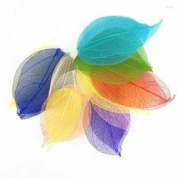 Decorative Flowers Dyed Diamond Leaf DIY Decoration For Gift Dried Flower Free Shipment 1 Lot/100 Pcs