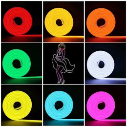 12V Neon Rope Light, LED Strings Lights Silicone 16.4ft Multi-Color Dimmable Silicones IP65 Waterproof Party DIY Indoor Outdoor Decor(Warm White) crestech168