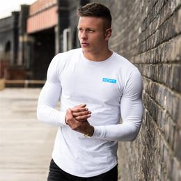 Men's T Shirts Fitness Sports Thin Long Sleeved T-shirt Men's Spring And Autumn Clothes Breathable Running Top