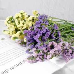 Decorative Flowers Natural Real Dired Flower Bouquet Wedding Bridal Do Not Forget Me Gifts Green Plants Decor For Home Bedroom